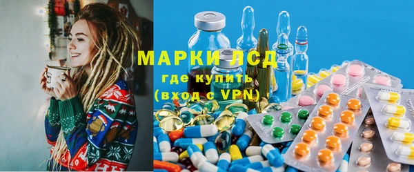 стафф Касимов