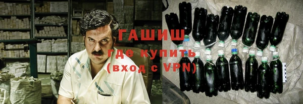 стафф Касимов