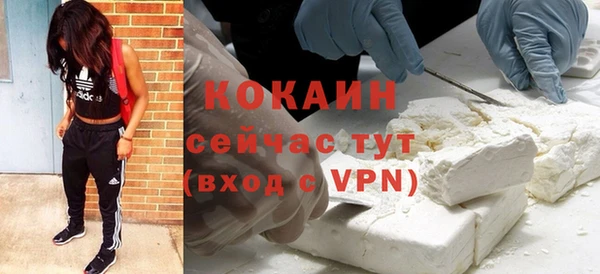стафф Касимов