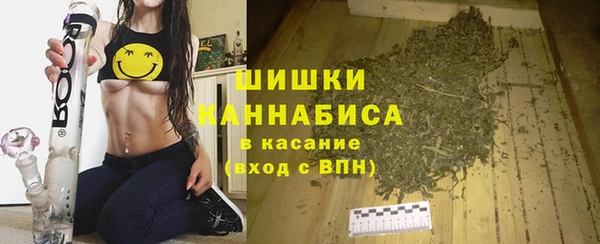 стафф Касимов