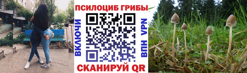 Купить закладки  Добрянка  Галлюциногенные грибы MAGIC MUSHROOMS 